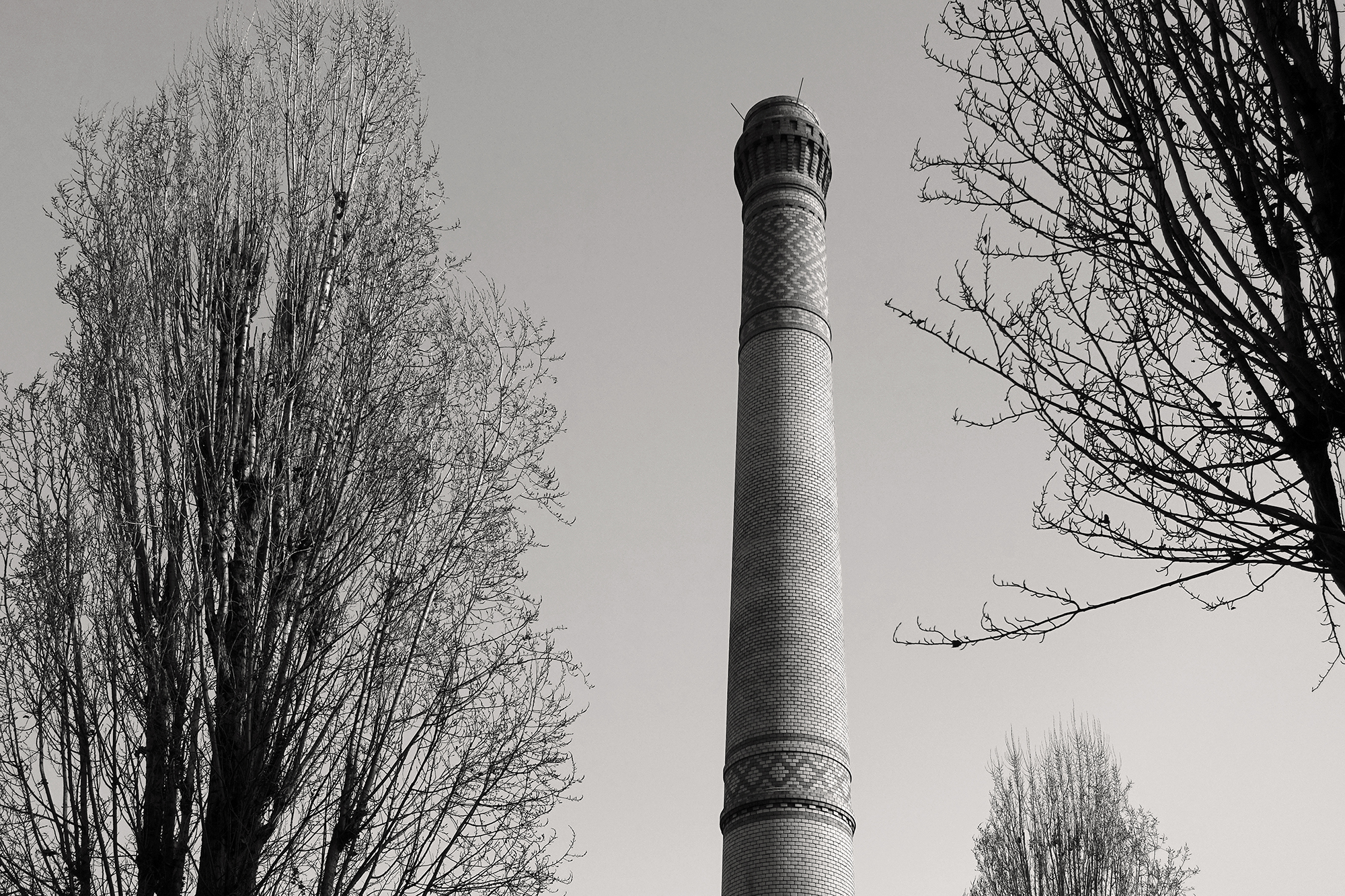 Christoph Radke, Berlin, Baumkronen Kulturbrauerei, 2021